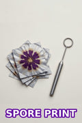 Spore Print
