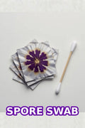 Spore Swab