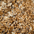 Grain Spawn Corn (3lb Bag)