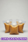Grain Spawn